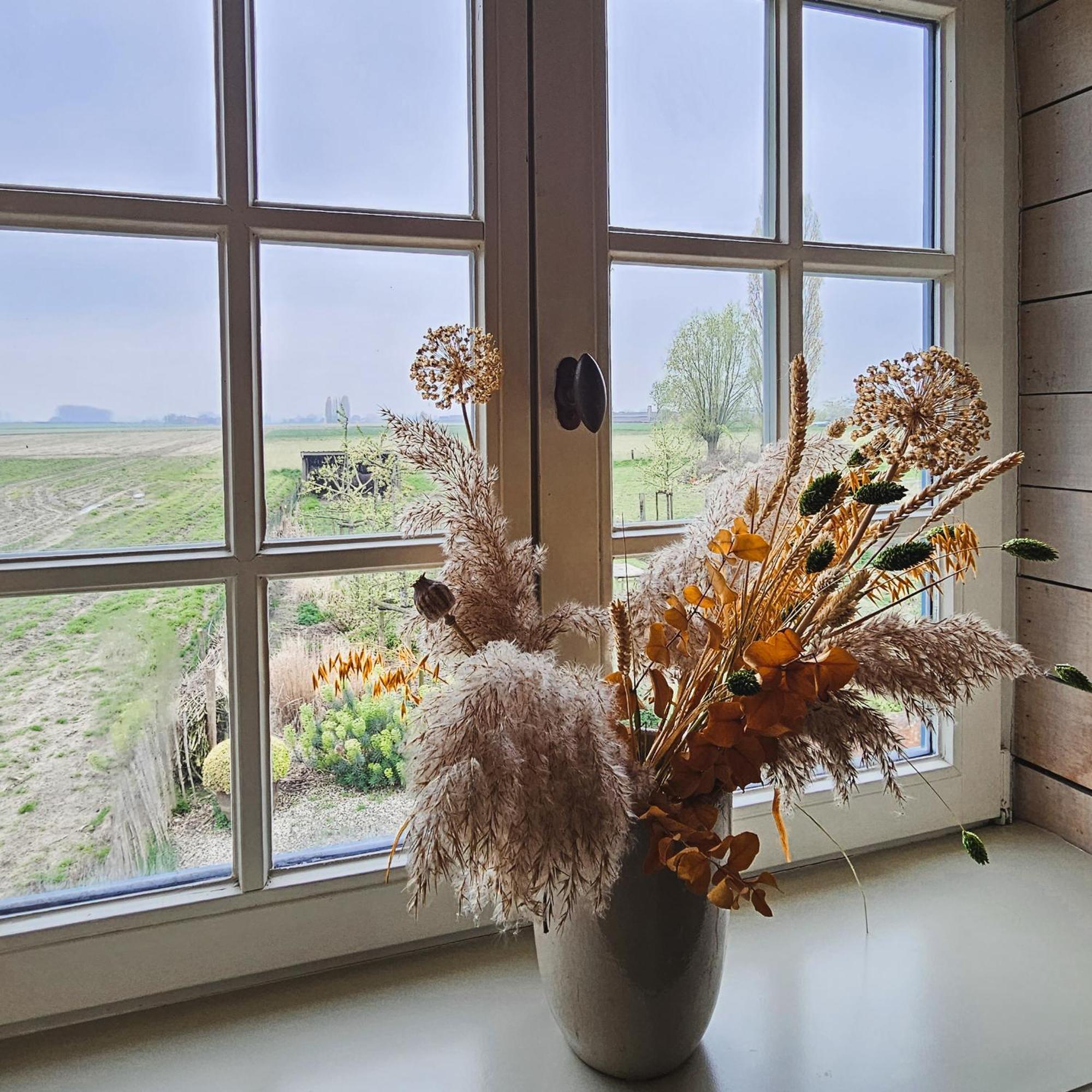 Boutique B&B Droomkerke Ruiselede Εξωτερικό φωτογραφία